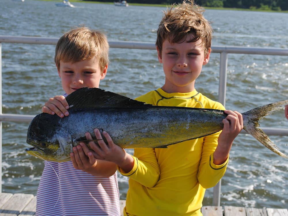 2017 megadock billfishing tournament charleston south carolina junior anglers