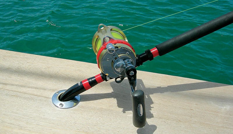 shark fishing rod reels and gear i need to do it