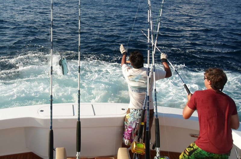 white-marlin176.jpg