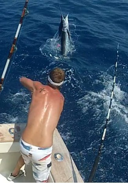 white-marlin196.jpg