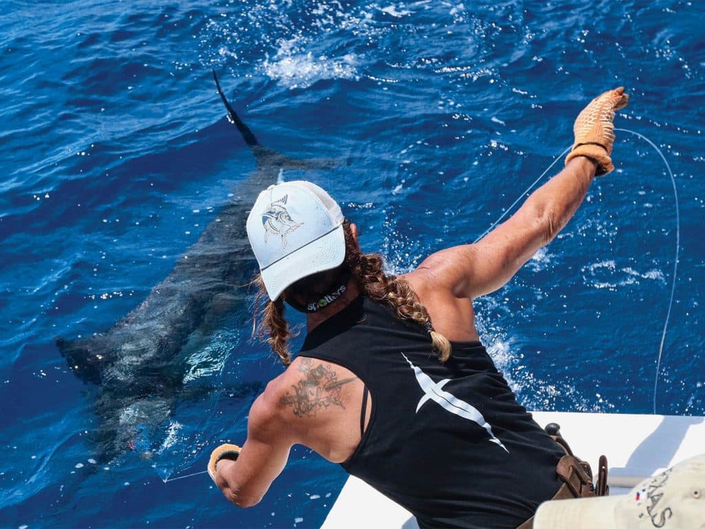 Woman catches large blue marlin on a leader.