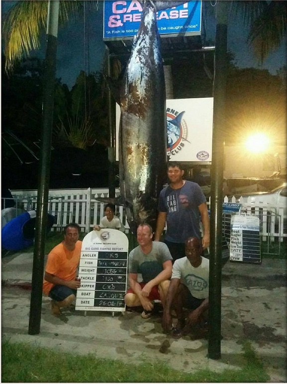 thousand-pound marlin in Mauritius