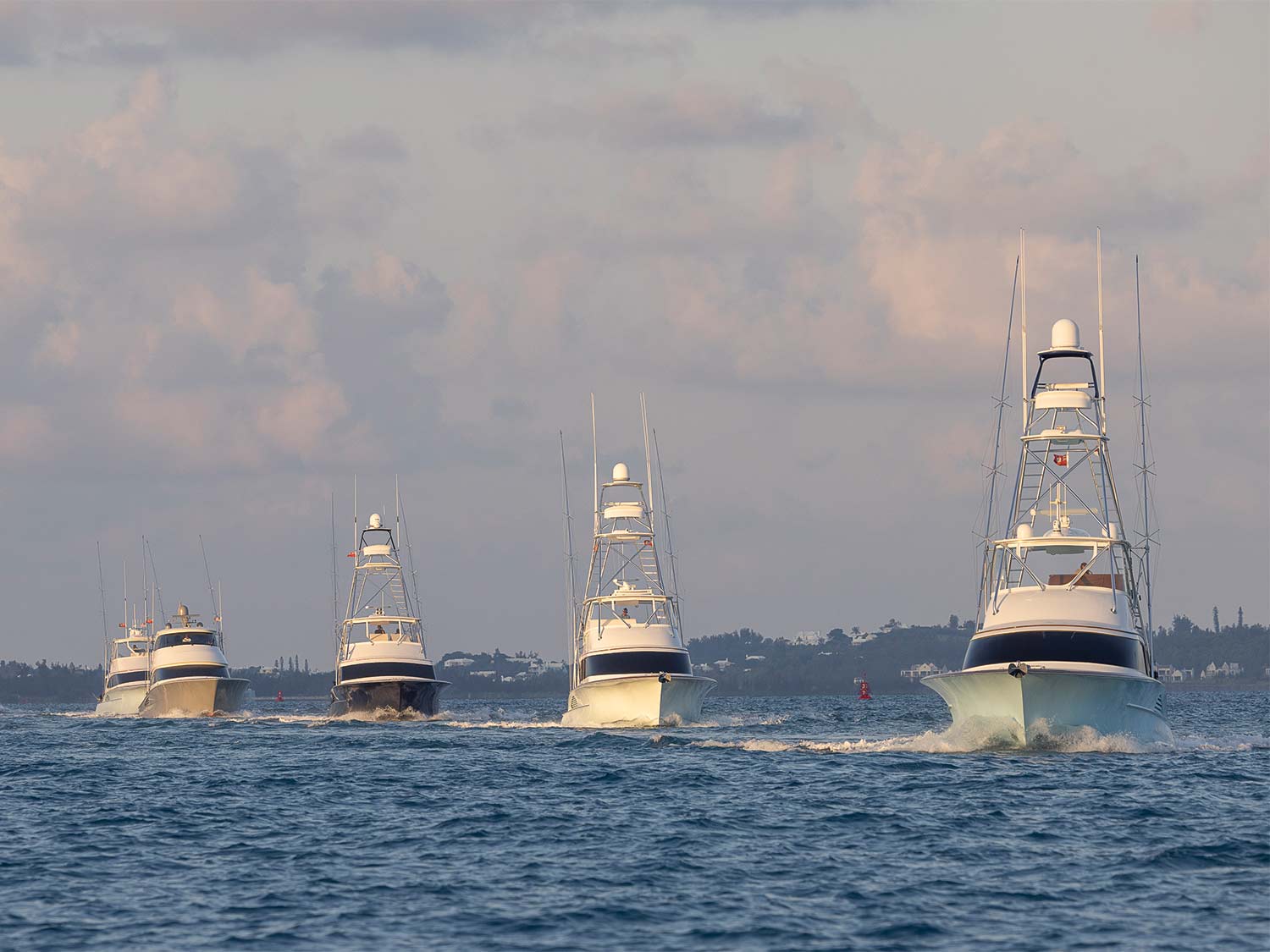 Big Blues and Big Money in Bermuda Triple Crown | Marlin