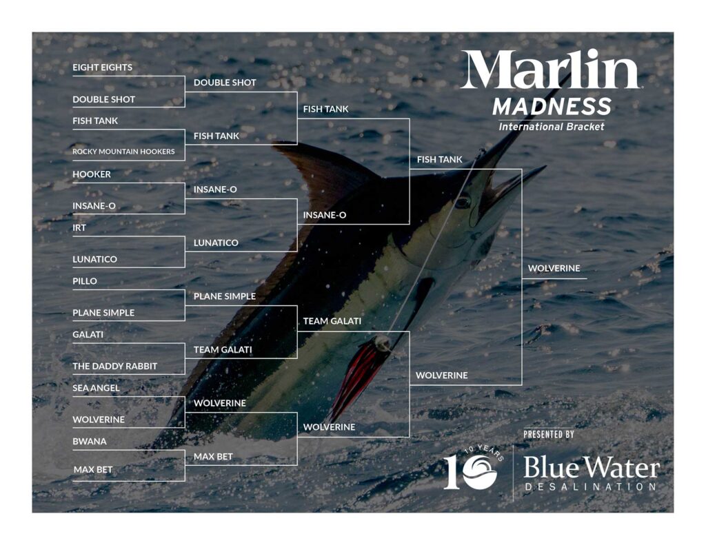 Marlin Madness 2024 International Bracket Top 4