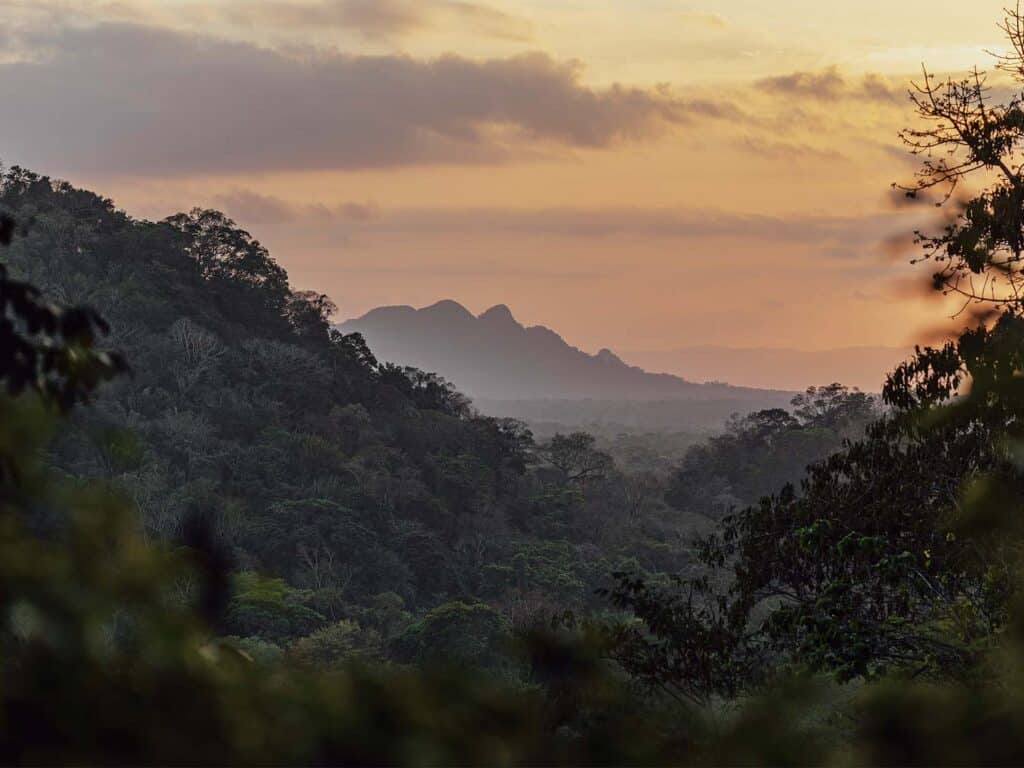 View overlooking the Maya Mounains. Lush, tropical jungle covers the landscape and hills