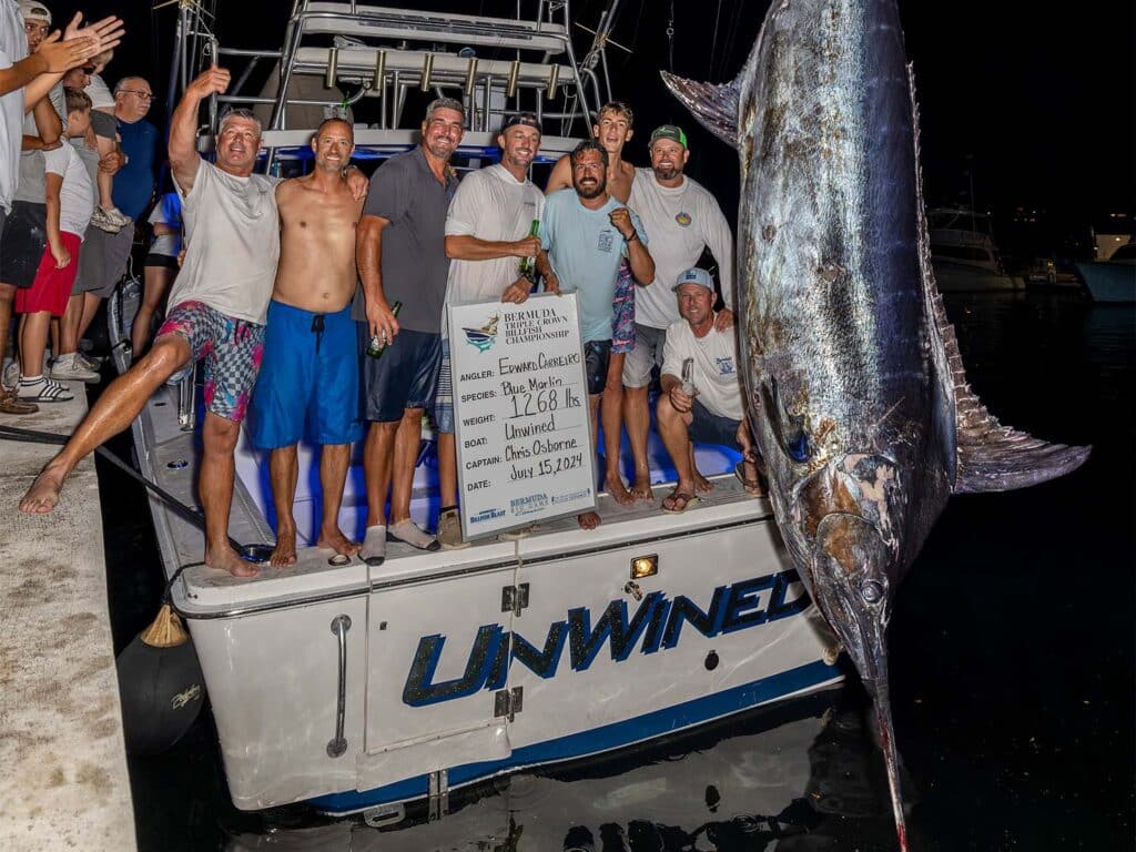 A sport-fishing team stand excitedly in the cockpit of their sport-fishing boat next to a weighed in blue marlin that is listed as 1,268 pounds.