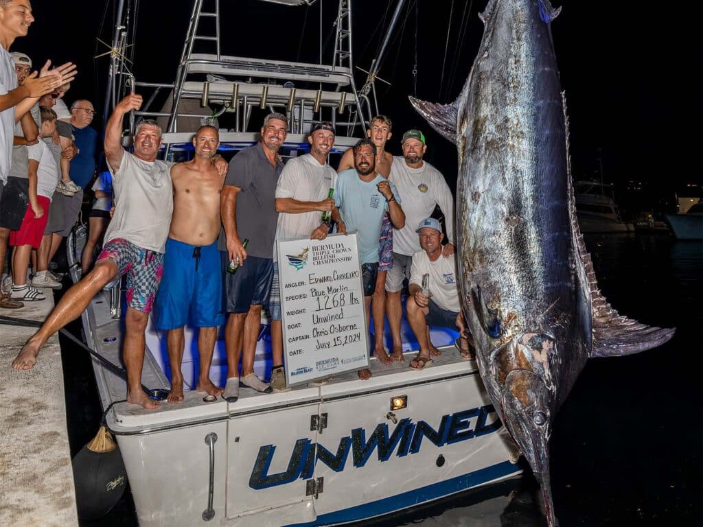 A sport-fishing team stand excitedly in the cockpit of their sport-fishing boat next to a weighed in blue marlin that is listed as 1,268 pounds.