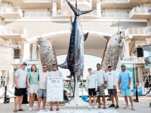 A sport-fishing team stands next to their prized marlin weighing in at 650 pounds.