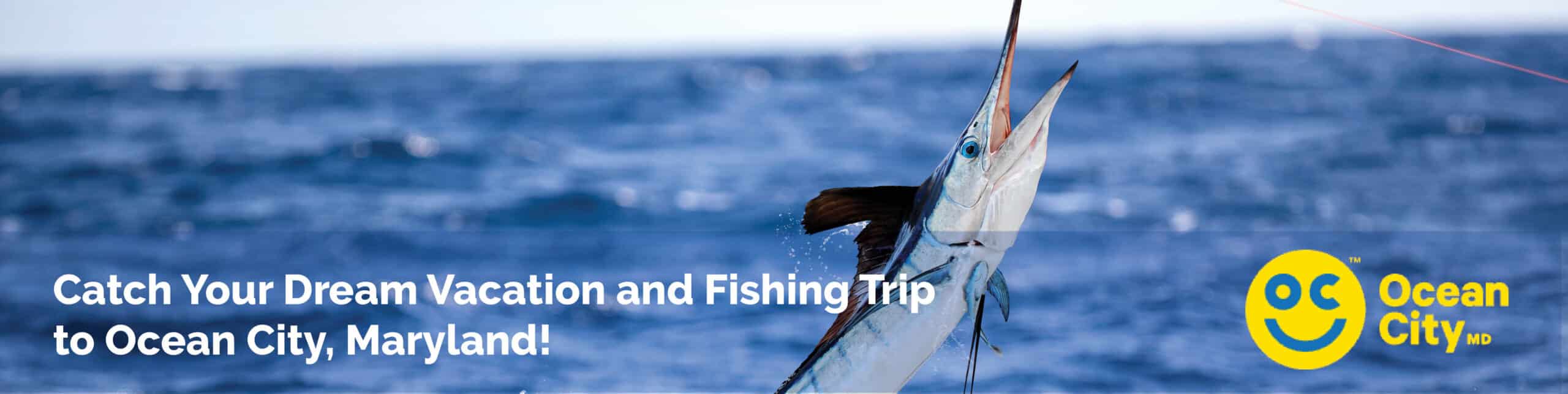 The words "Catch Your Dream Vacation and Fishing Trip to Ocean City, Maryland" overlaid an image of a marlin jumping out of the ocean as its caught on the leader.