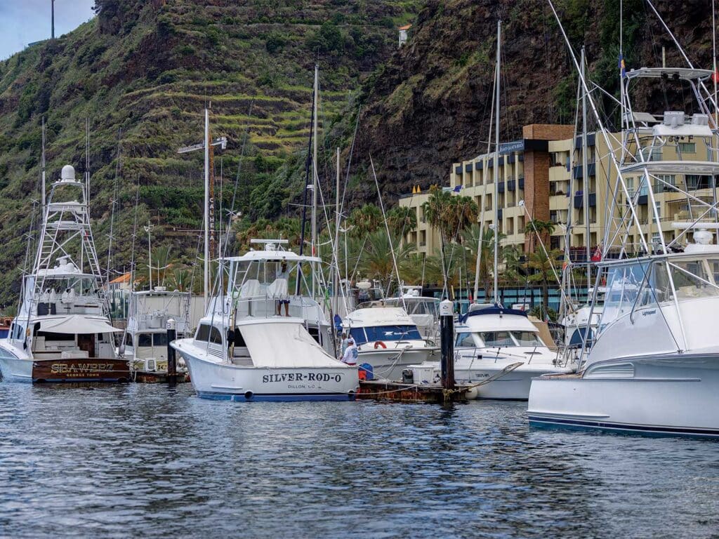 Several sport-fishing boats docked in a marina.