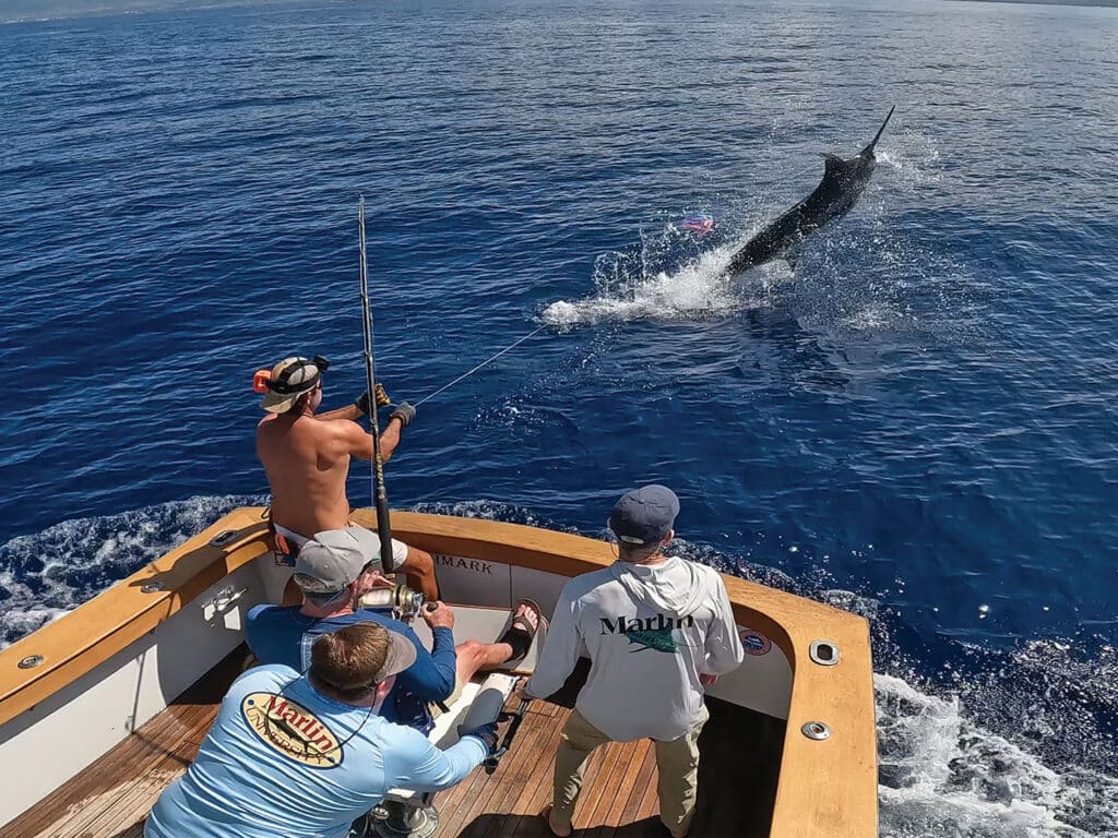 Anglers fishing for blue marlin in Kona, Hawaii