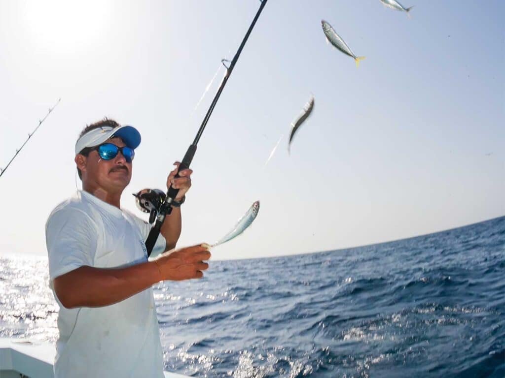 An angler holds up a string of baits.