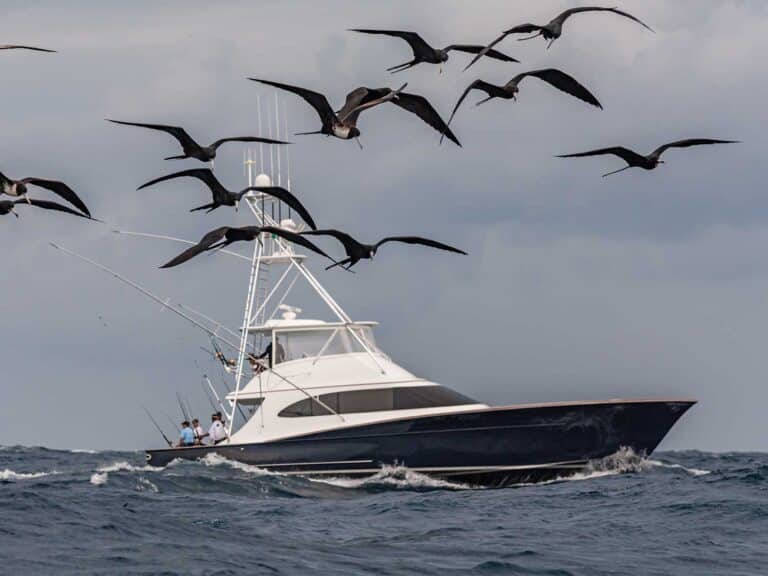 A flock of seabirds circling over head as a sport-fishing boat cruises by.