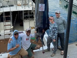 A group of anglers stand around a large weighed Pacific blue marlin.